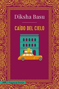 libro-caído-del-cielo