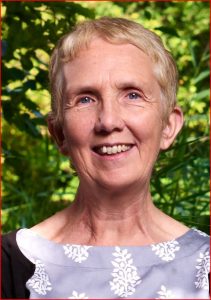 Ann Cleeves mabhuku