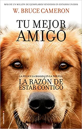 A razón para estar contigo: unha novela para humanos